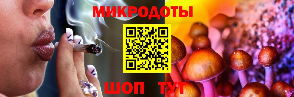 Донской  Псилоцибиновые грибы Cubensis  Вход с VPN 